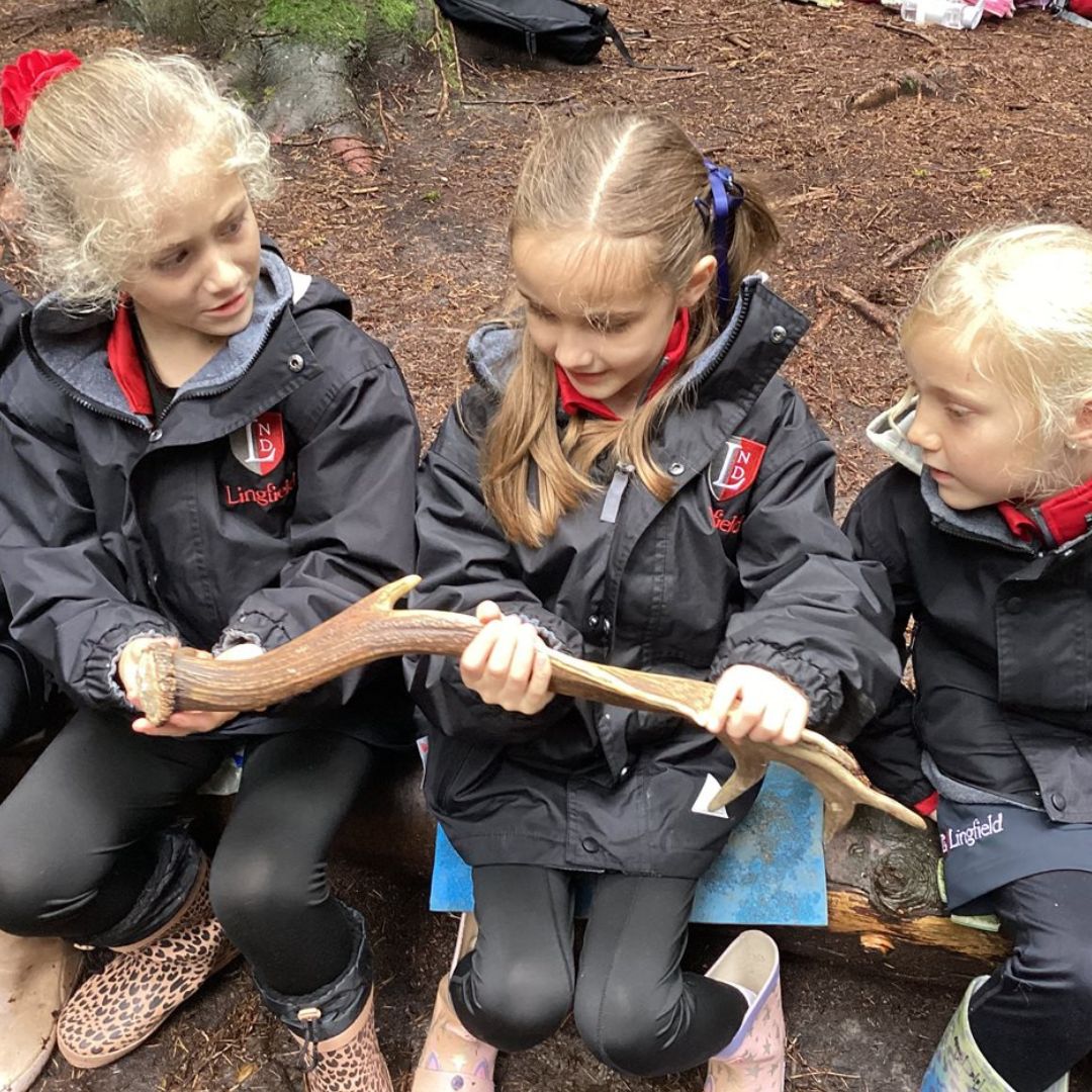 Year 3 at Wilderness Wood