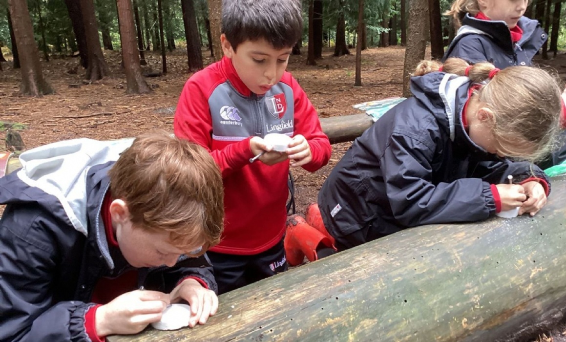 Year 3 Experience the Stone Age at Wilderness Wood